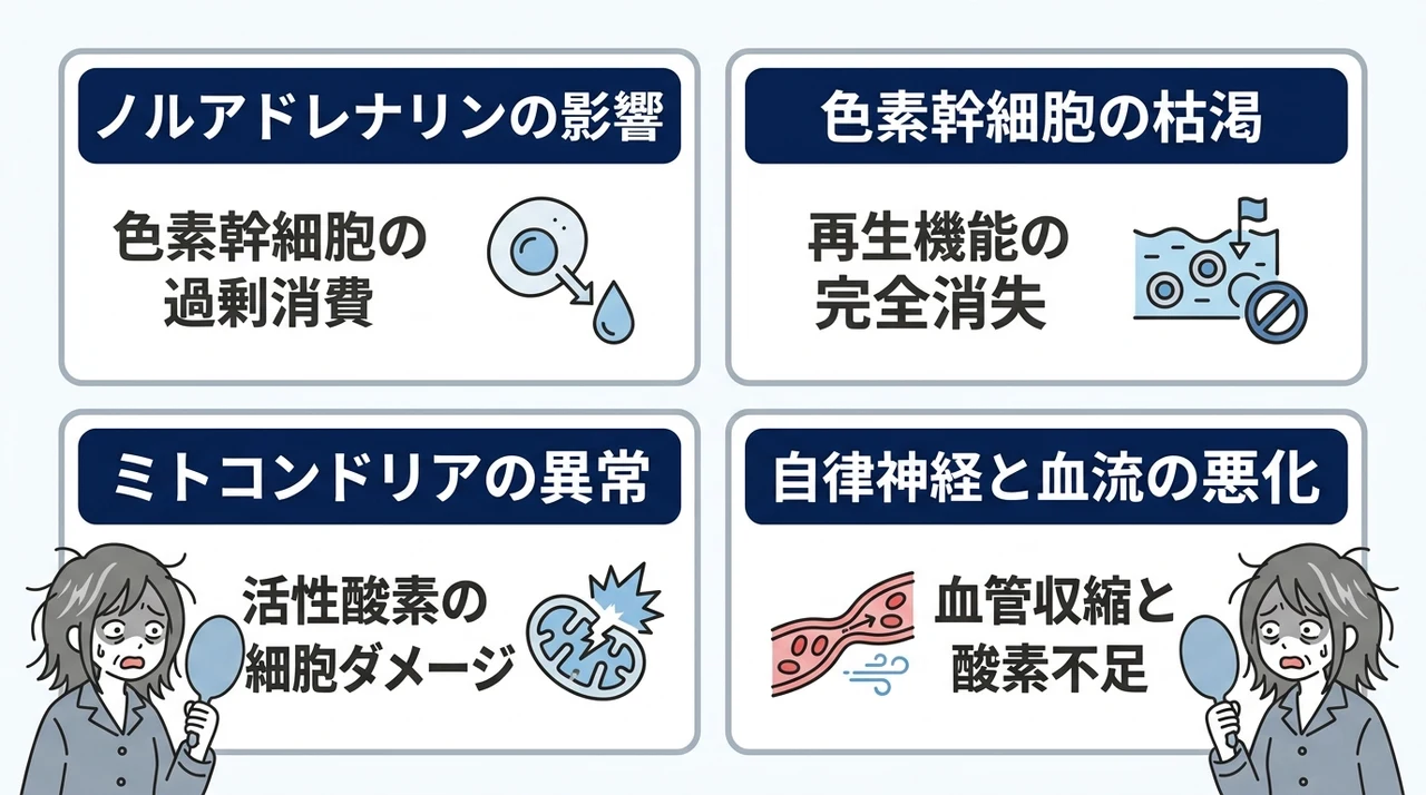 ストレスで白髪が増えるメカニズムを解説