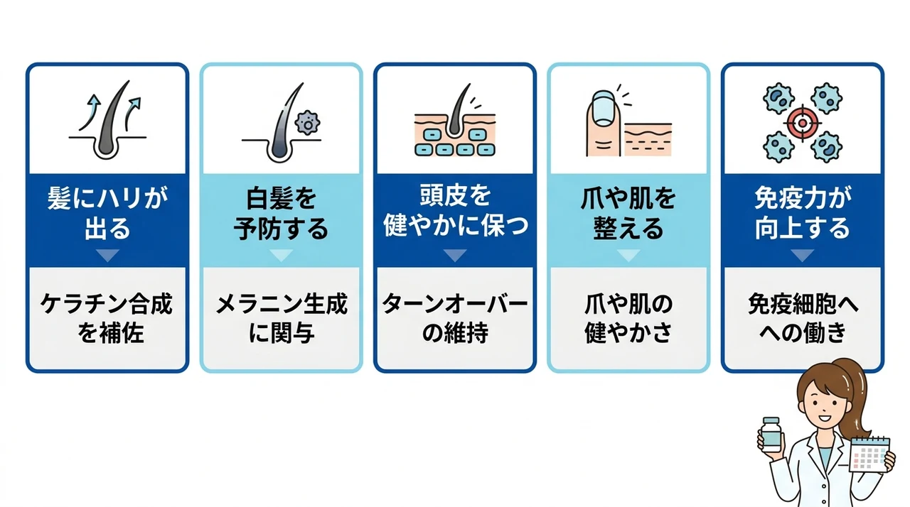 亜鉛と鉄分サプリを継続する5つのメリット