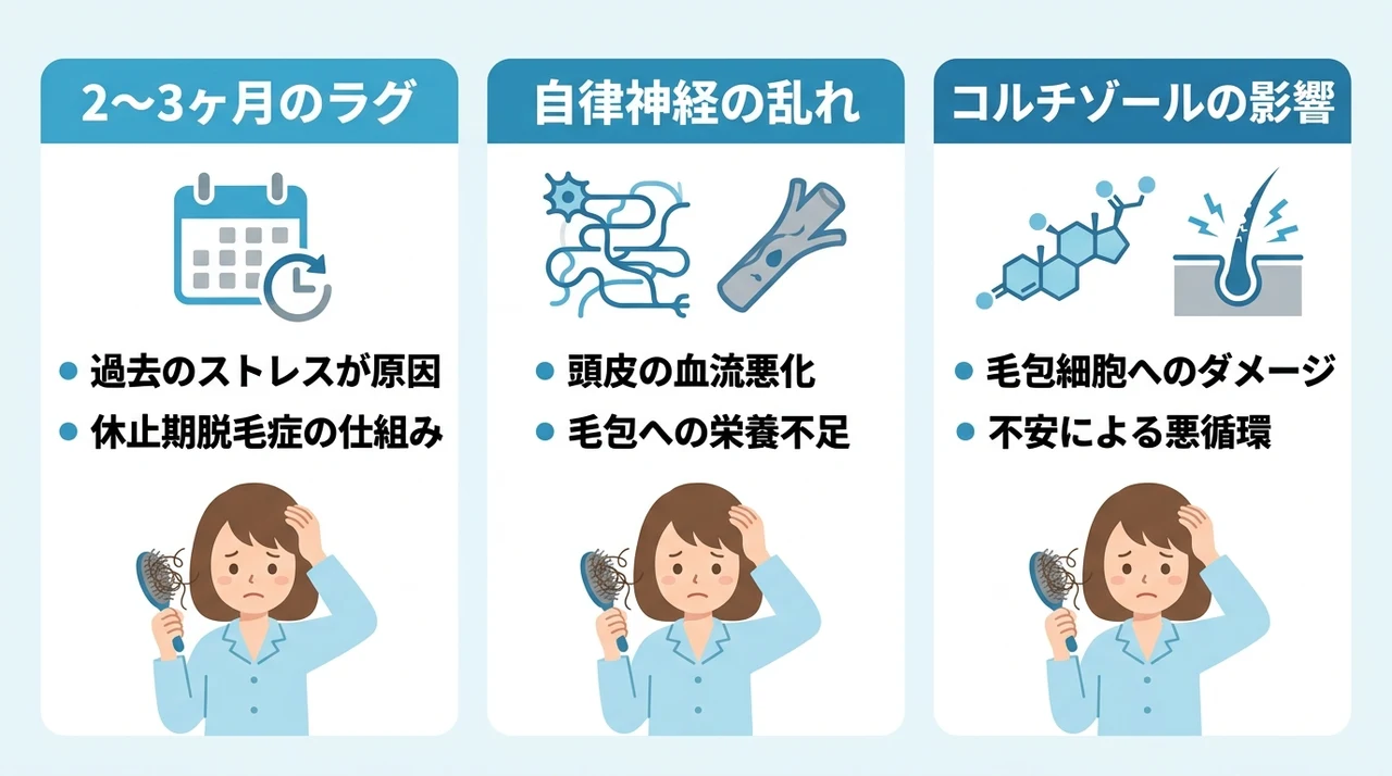 2ヶ月続く抜け毛が止まらないストレスの悪循環と原因