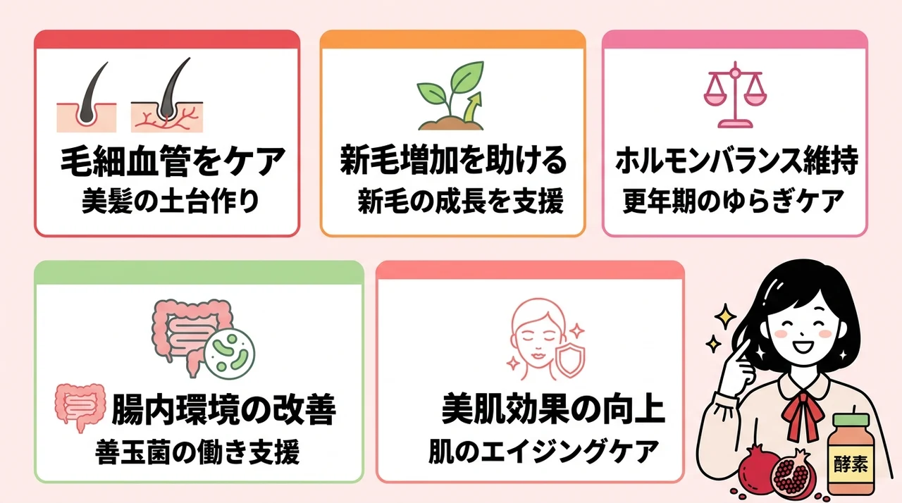 ザクロ酵素を続けるメリット5つの要点をまとめた図解（毛細血管をケア・新毛増加を助ける・ホルモンバランス維持）